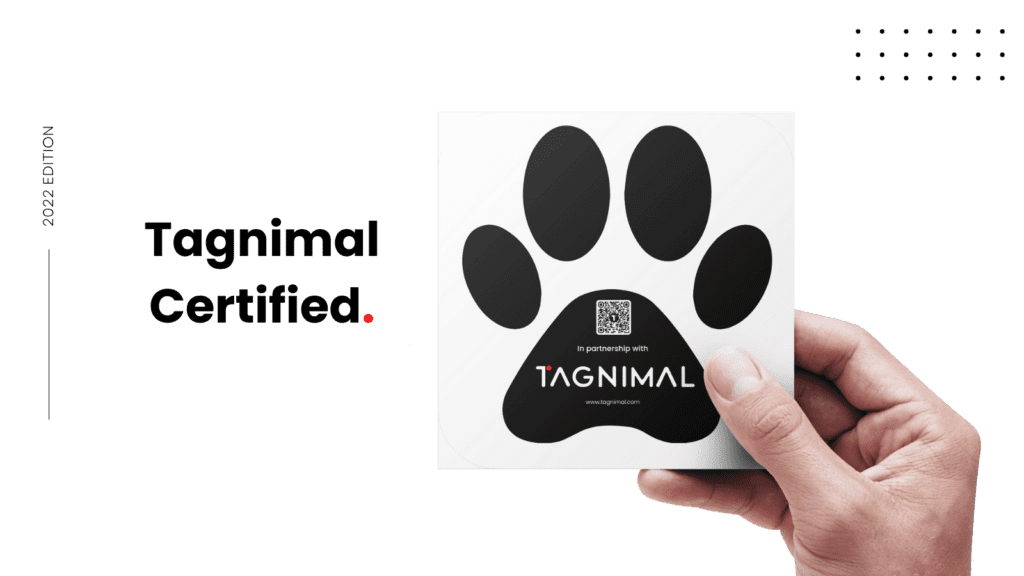 Tagnimal x Korea partnership, buy pet online