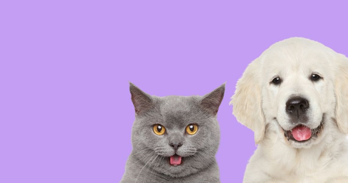 Tagnimal banner preorder pets, buy pet online