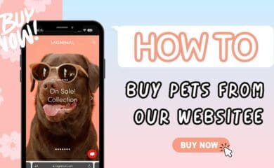 How to buy pets from our website