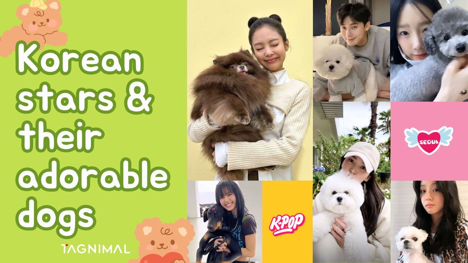 Tagnimal Korean stars and their Adorable Dog Blog