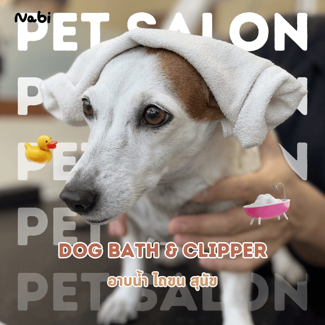 tagnimal-nabi-pet-salon-dog-bath-and-clipper Tagnimal Nabi Pet Salon Dog Bath and Clipper